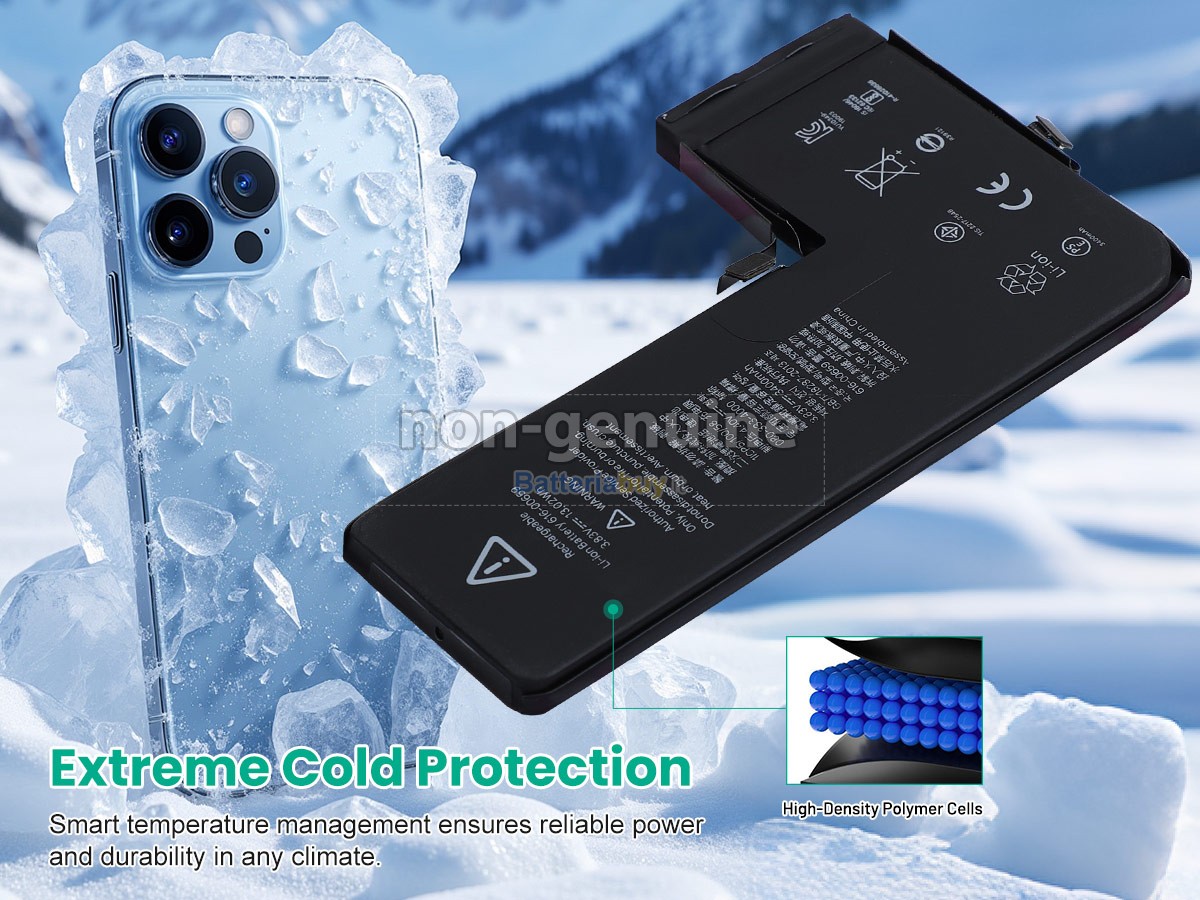 Batteria per Apple 616-00659