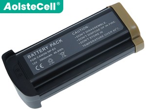Batteria Canon EOS 1DS Mark II